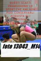 13043_M14-