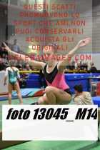 13045_M14-