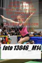 13046_M14-