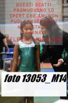 13053_M14-