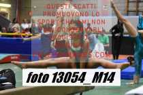 13054_M14-