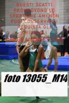 13055_M14-