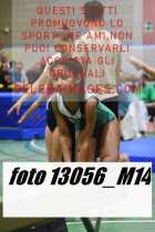 13056_M14-