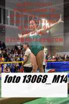 13068_M14-