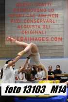 13103_M14-
