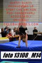 13108_M14-