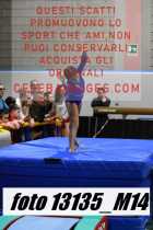 13135_M14-