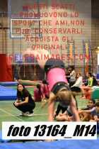 13164_M14-