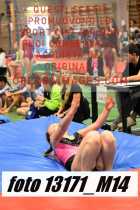 13171_M14-