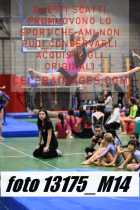 13175_M14-