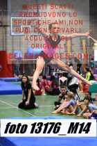 13176_M14-