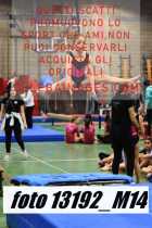 13192_M14-