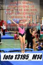 13195_M14-