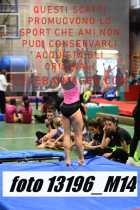 13196_M14-