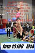 13198_M14-