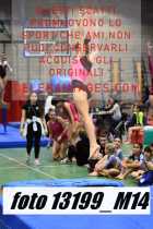 13199_M14-