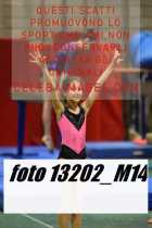 13202_M14-