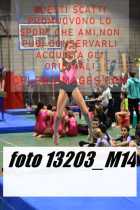 13203_M14-