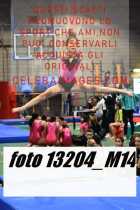 13204_M14-