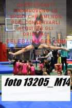 13205_M14-