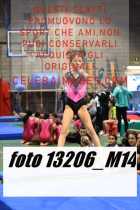 13206_M14-