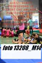 13208_M14-