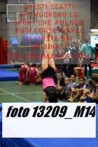 13209_M14-