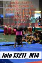 13211_M14-