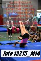 13215_M14-