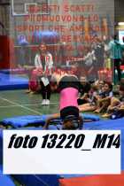 13220_M14-