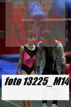 13225_M14-