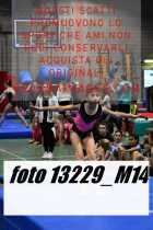 13229_M14-