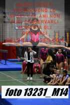 13231_M14-