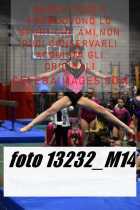 13232_M14-