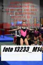 13233_M14-