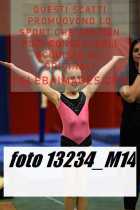 13234_M14-