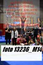 13236_M14-
