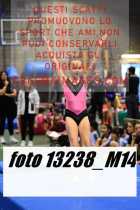13238_M14-