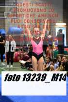 13239_M14-