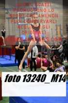 13240_M14-