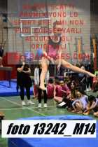 13242_M14-