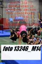 13246_M14-