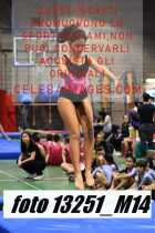 13251_M14-