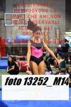13252_M14-