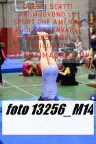 13256_M14-
