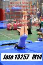 13257_M14-