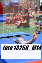 13258_M14-