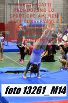 13261_M14-