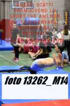 13262_M14-
