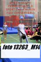13263_M14-